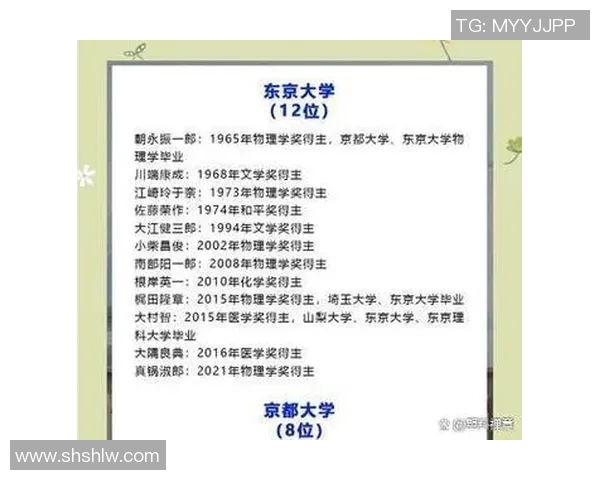 德国视角下的日本足球明星风采与成就全解析