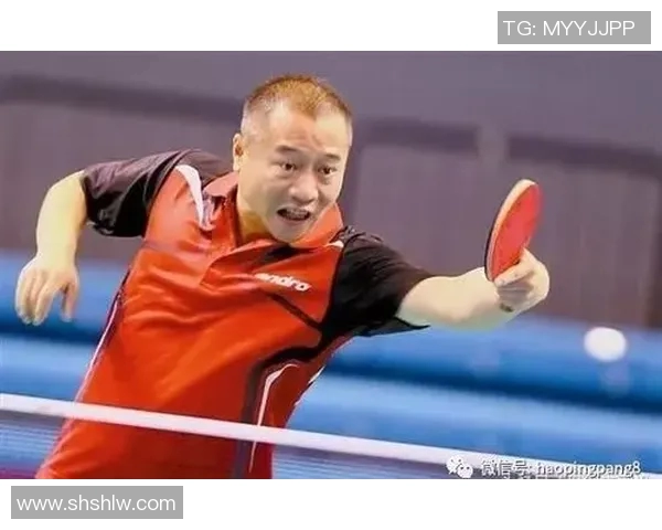 深入分析上海网球队的控制打法及其战术优势与应用策略